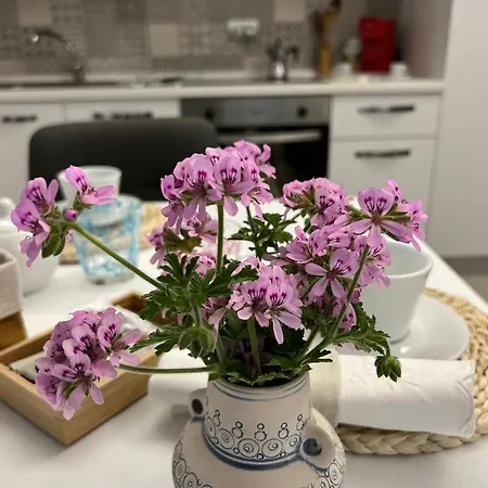 Melissa * Porto SantʼElpidio